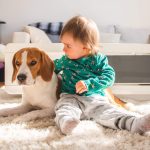 Child & Pet-proofing Your Home
